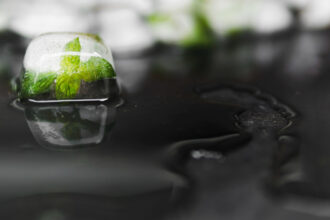 biodiversity