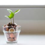 The Rise of Micro-Investing: How Small Steps Build Long-Term Wealth